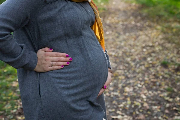 Imagen Primer Plano Barriga Embarazada Tercer Trimestre Aire Libre Parque — Foto de Stock