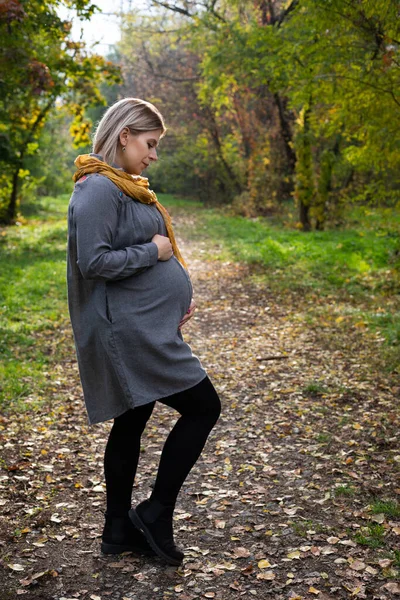 밖에서 가을을 보내는 임산부의 매력적 — 스톡 사진