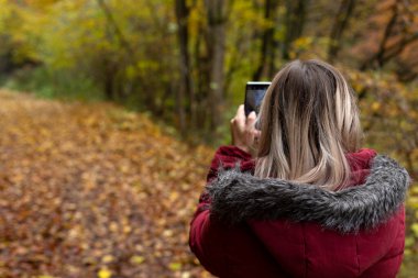 Güzel genç bir kadın akıllı telefonuyla çevrimiçi içerik oluşturuyor. Renkli bir sonbahar geçmişi var.