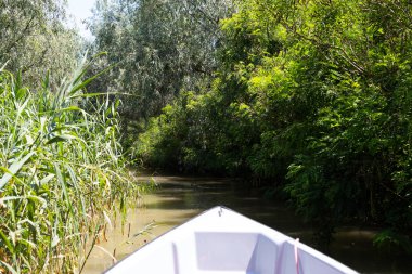Yüzen bir balıkçı teknesinin resmi