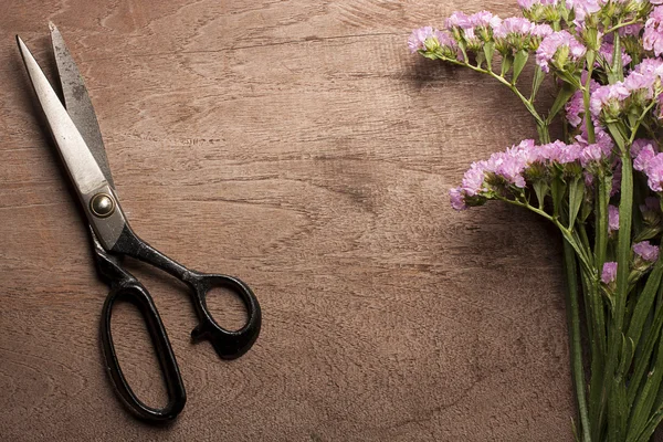 Forbici vintage in acciaio con fiore . — Foto Stock