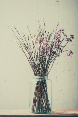 Bir vazoda güzel kuru çiçekler 