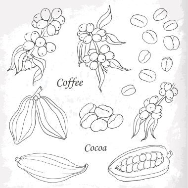 Kahve ayarla ve kakao öğeleri stil doodle