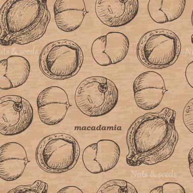 Macadamia vintage bir arka plan ile Seamless Modeli