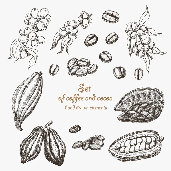 Set de café y cacao en estilo sketch — Vector de stock