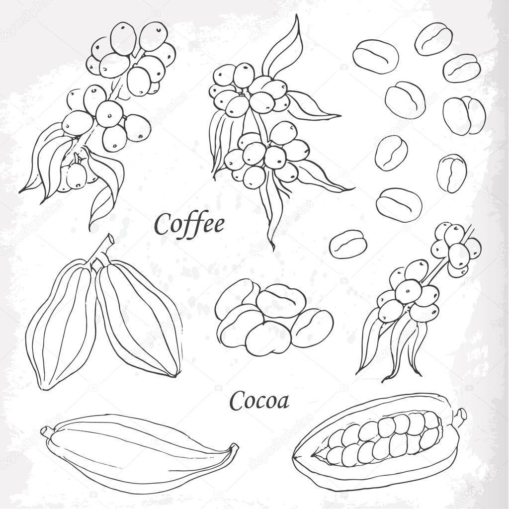 Set of coffee and cocoa elements doodle style