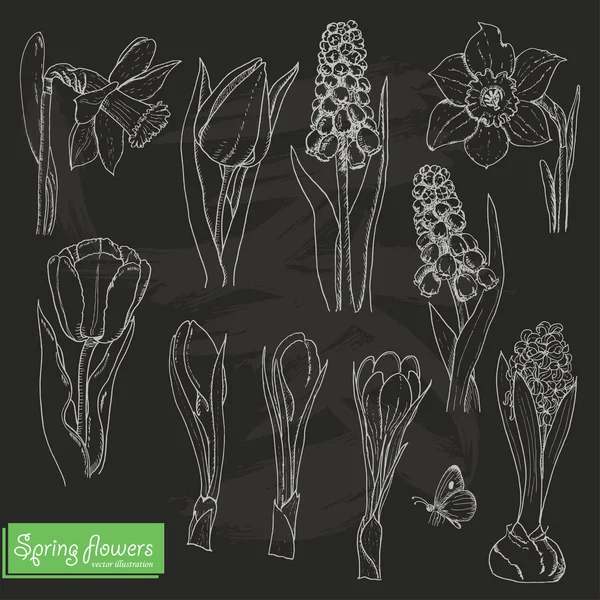 Set of isolated spring flowers on a black background — Stock Vector