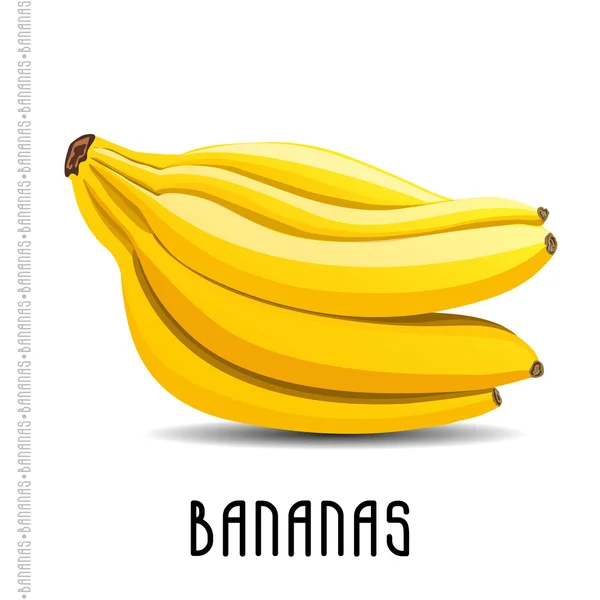 Ветка бананов на белом фоне — стоковый вектор