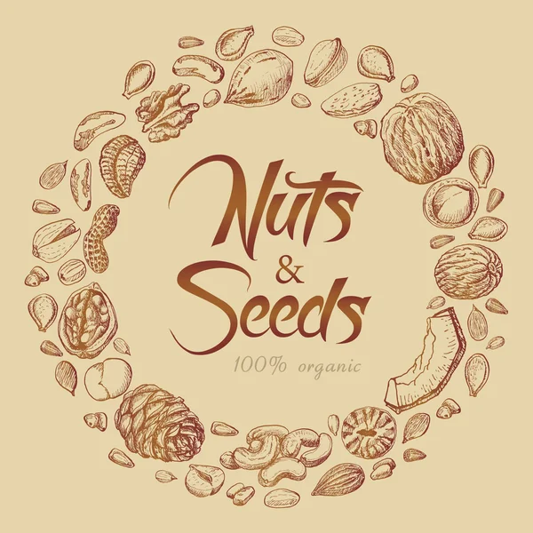 Marco redondo vectorial de frutos secos y semillas — Vector de stock