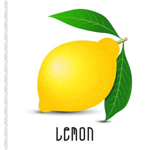 Citron på vit bakgrund — Stock vektor