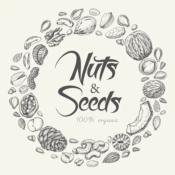 Vector round frame of nuts and seeds — Stock Vector