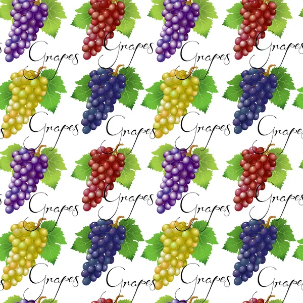 Naadloos patroon met druiven — Stockvector