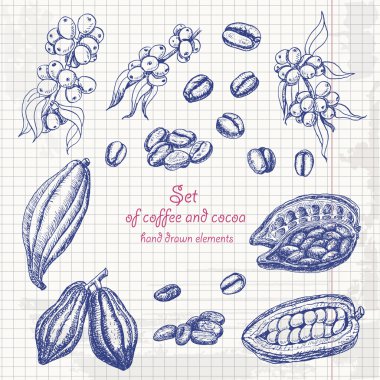 Kahve ve kakao kroki tarzı kağıt üzerinde