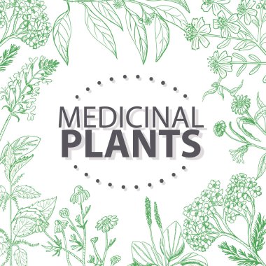 Tıbbi otlar ile vektör arka plan 