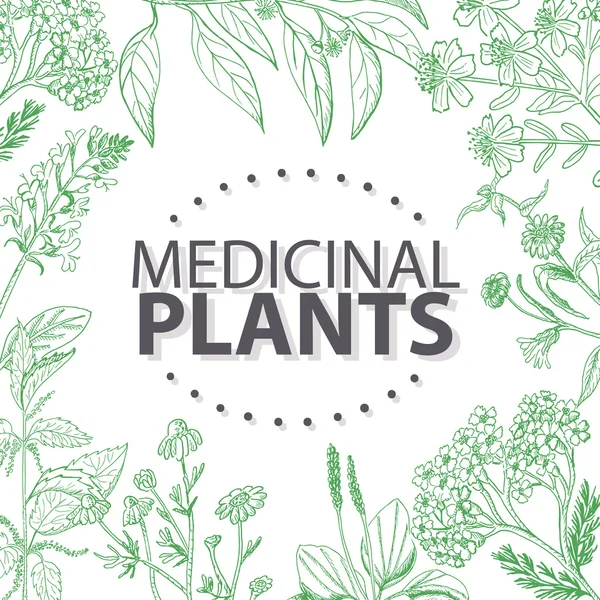 Fond vectoriel avec herbes médicales — Image vectorielle