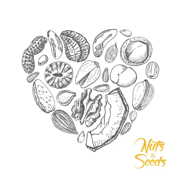 The isolated heart of nuts and seeds on white background — Stock Vector