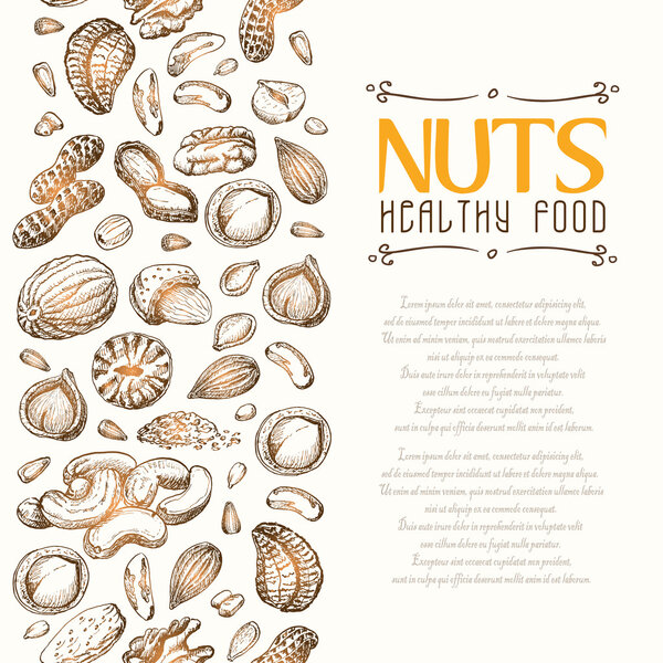 Vector background with nuts arranged vertically