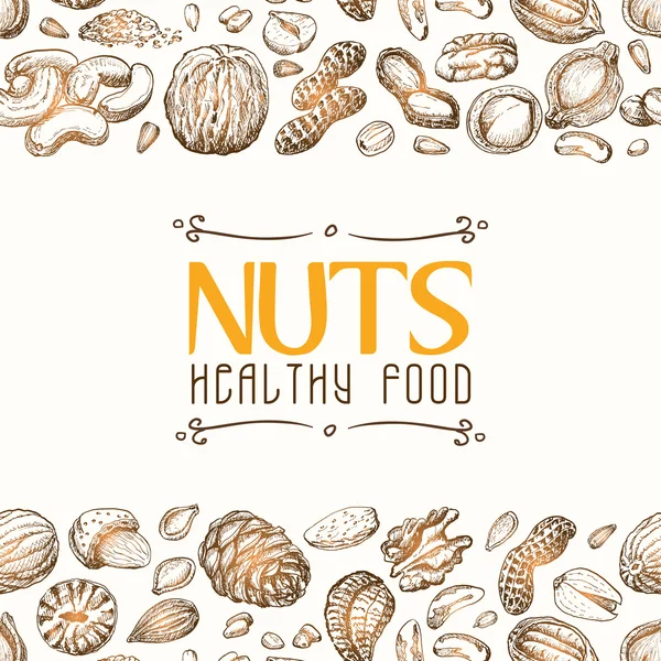 Vector background with nuts arranged horizontally — Stock Vector