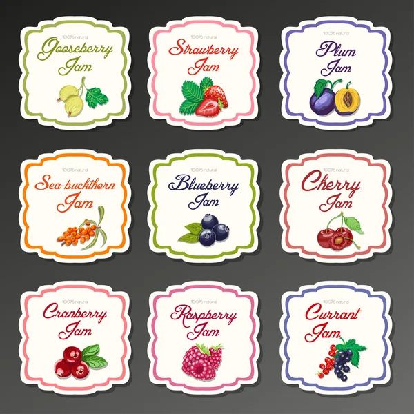 Set of isolated labels for jam from berries — Stock Vector