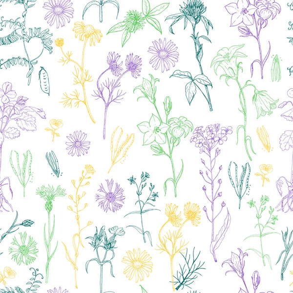 ハーブと野生の花のシームレス パターン — ストックベクタ