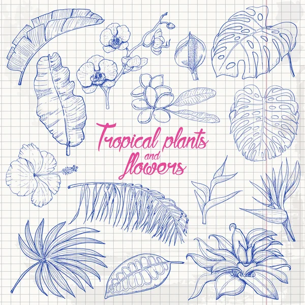 Conjunto de plantas tropicales aisladas y flores sobre papel — Vector de stock