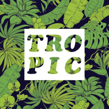 Tropik bitkiler ve çiçekler koyu arka plan üzerinde vektör arka plan