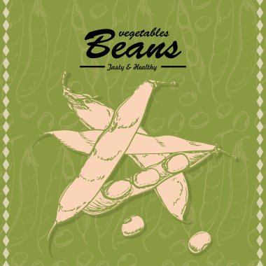 Taze sebze arka plan kroki. Vintage el çizimi fasulye çizimi