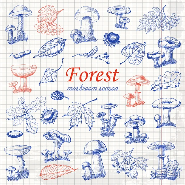 Conjunto de plantas forestales aisladas y setas en estilo de boceto sobre papel — Archivo Imágenes Vectoriales