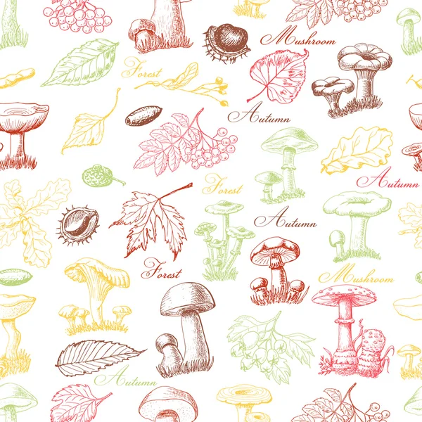 Seamless mönster med färgade skog växter och svampar — Stock vektor