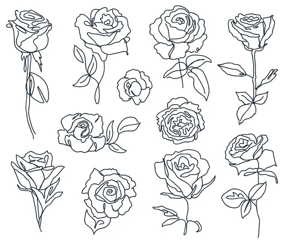 Conjunto de rosas lineales y hojas. Arte en blanco y negro. Silueta de contorno mínimo. — Vector de stock