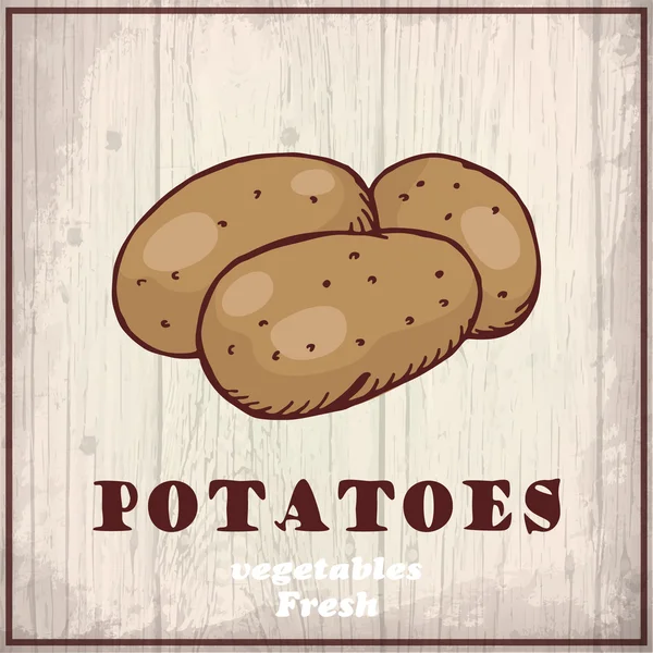 Verdure fresche schizzo sfondo. Illustrazione di disegno di mano d'annata di patate — Vettoriale Stock
