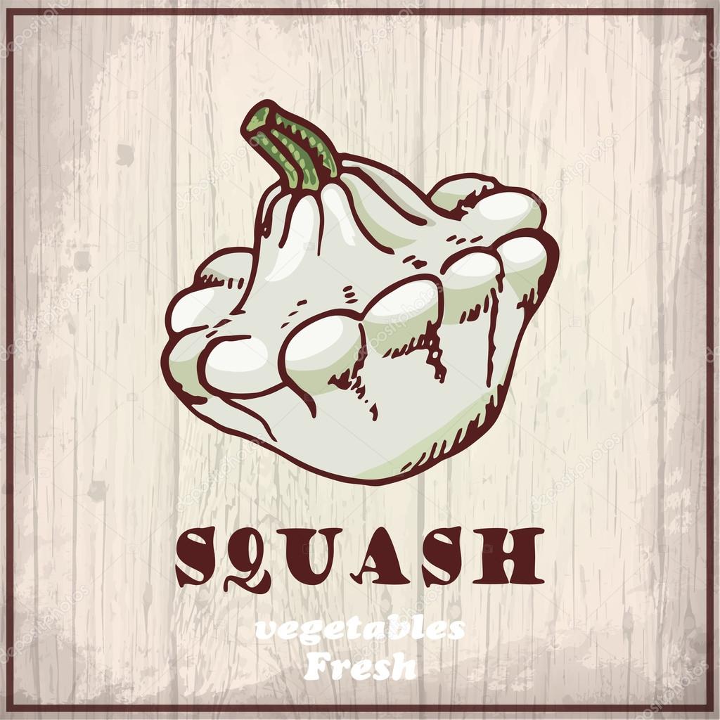 Fresh vegetables sketch background. Vintage hand drawing illustration of a squash