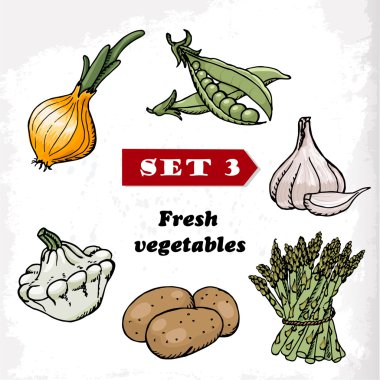 3 taze sebze soğan, sarımsak, squash, bezelye, patates ve kuşkonmaz ayarlayın. vektör çizim