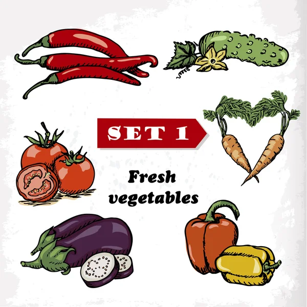 Set 1 Verduras frescas de tomate, berenjena, pimienta, pepino, zanahoria y pimientos picantes. Ilustración vectorial — Archivo Imágenes Vectoriales