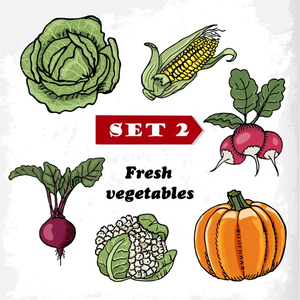 Set 2 sayuran segar kubis, jagung, lobak, labu, kembang kol dan bit. Ilustrasi vektor - Stok Vektor