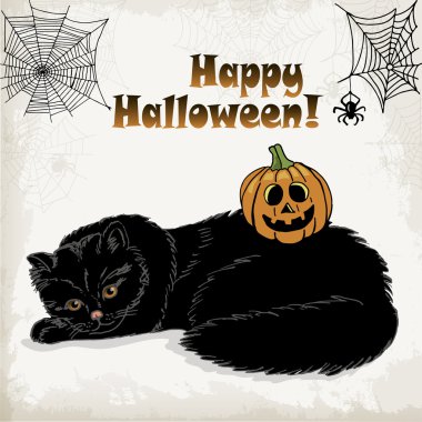 Cadılar Bayramı kartı kedi, kabak, örümcek ve örümcek web şablonu. vektör çizimler