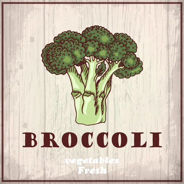 Verse groenten schets achtergrond. Vintage hand tekenen illustratie van een broccoli — Stockvector