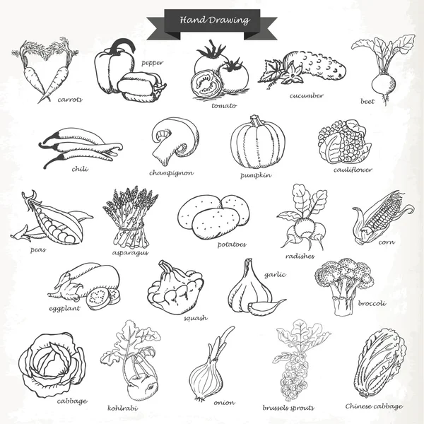 Ensemble de légumes. Illustration vectorielle de croquis à la main — Image vectorielle