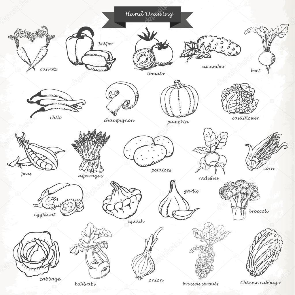 Set of vegetables. Vector hand drawing sketch illustration