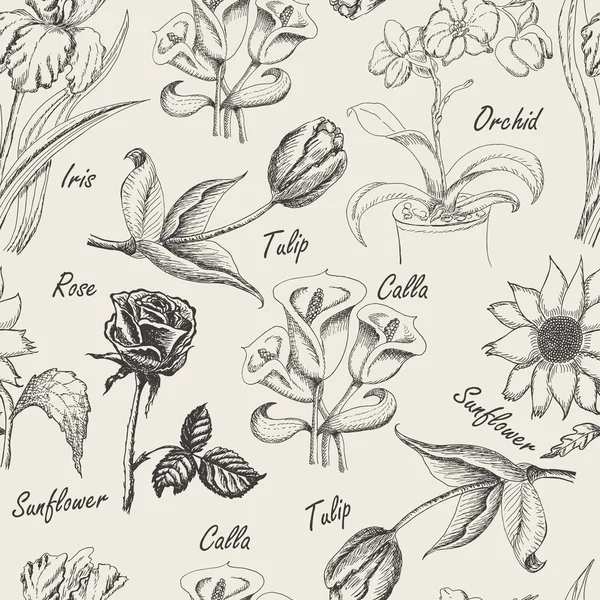Desenho à mão sem costura paterno de flores. Íris, lírio de calla, tulipa, orquídea, girassol e rosa —  Vetores de Stock