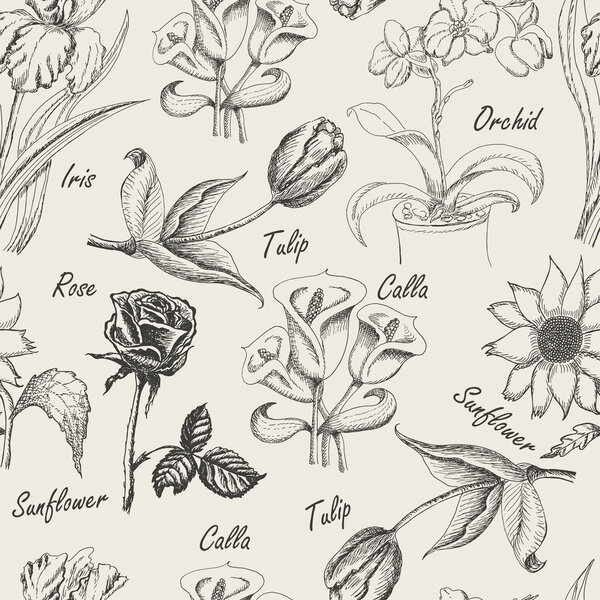 Hand drawing seamless patern of flowers. Iris, calla lily, tulip, orchid, sunflower and rose