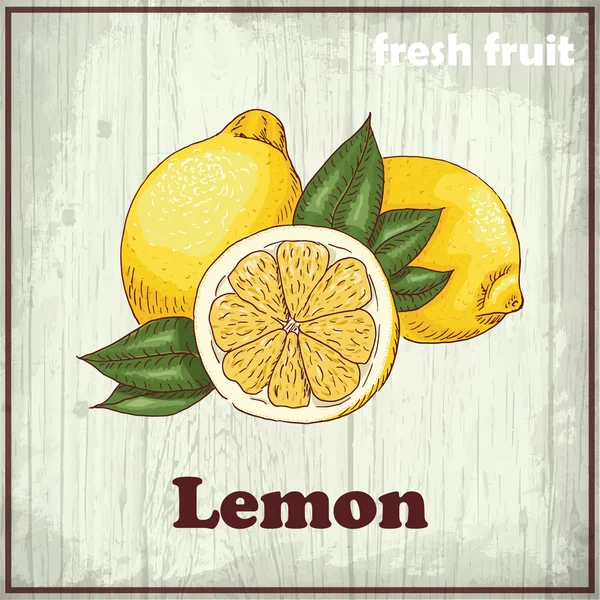 Fresh fruit sketch background. Vintage hand drawing illustration of a lemon — Stock Vector