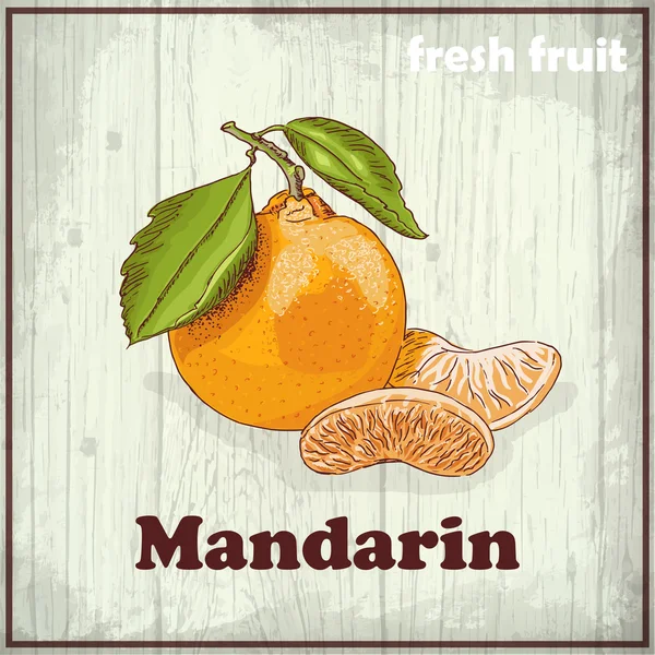 Fresh fruit sketch background. Vintage hand drawing illustration of Mandarin — Stock Vector