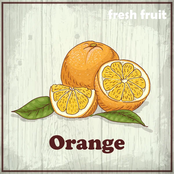 Fresh fruit sketch background. Vintage hand drawing illustration of orange — Stock Vector