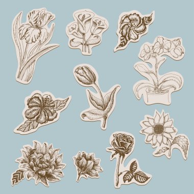 Çiçekler Etiketler topluluğu