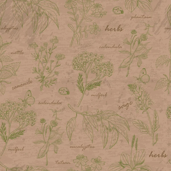 Motif sans couture vectoriel avec des herbes — Image vectorielle