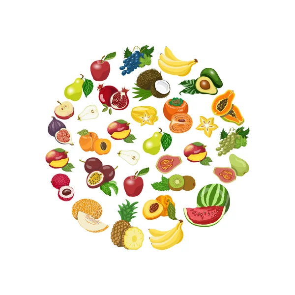 Vector isolated collection of fresh healthy fruits — Stock Vector