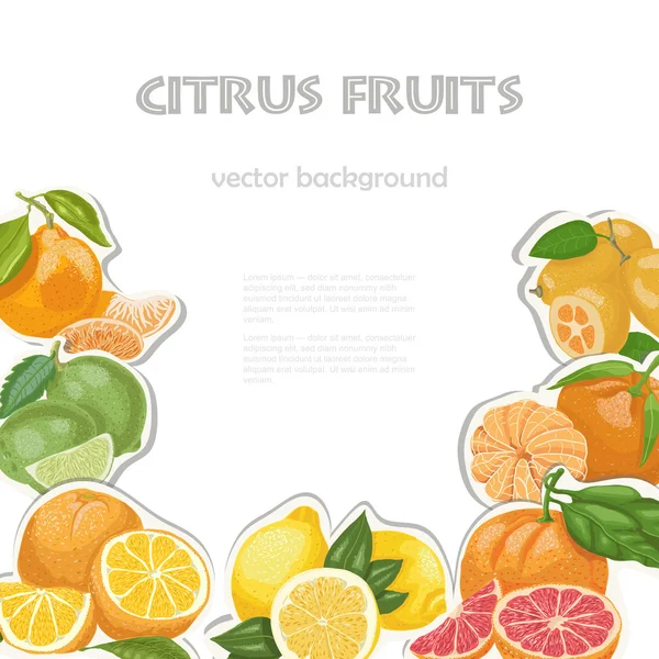 Vector background with citrus fruits — Stock Vector
