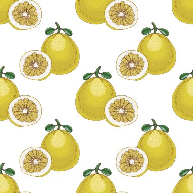 Pomelos ile Seamless Modeli