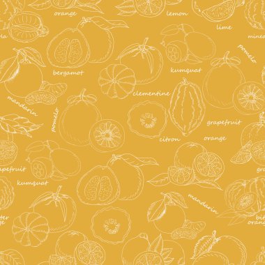 Turuncu bir arka plan üzerinde narenciye meyve ile Seamless Modeli